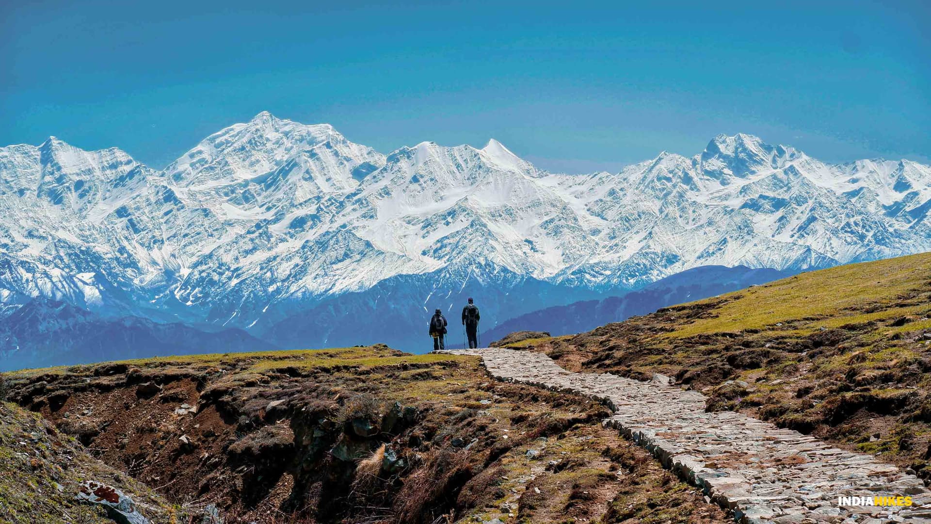 Snow-covered Dayara Bugyal meadows
